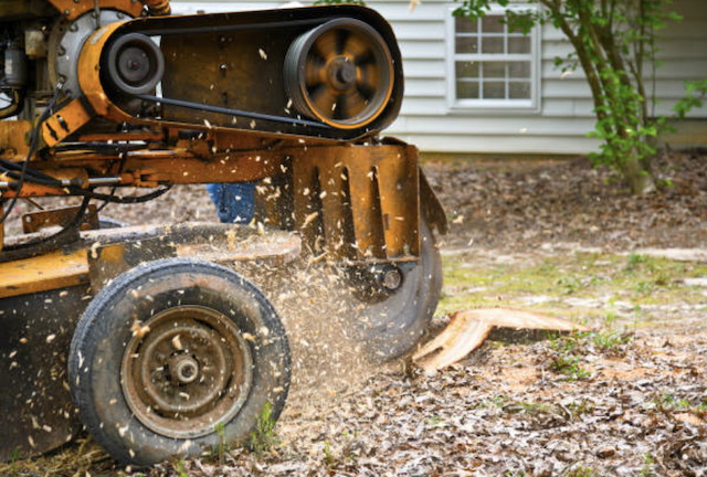 stump grinding Clovis ca